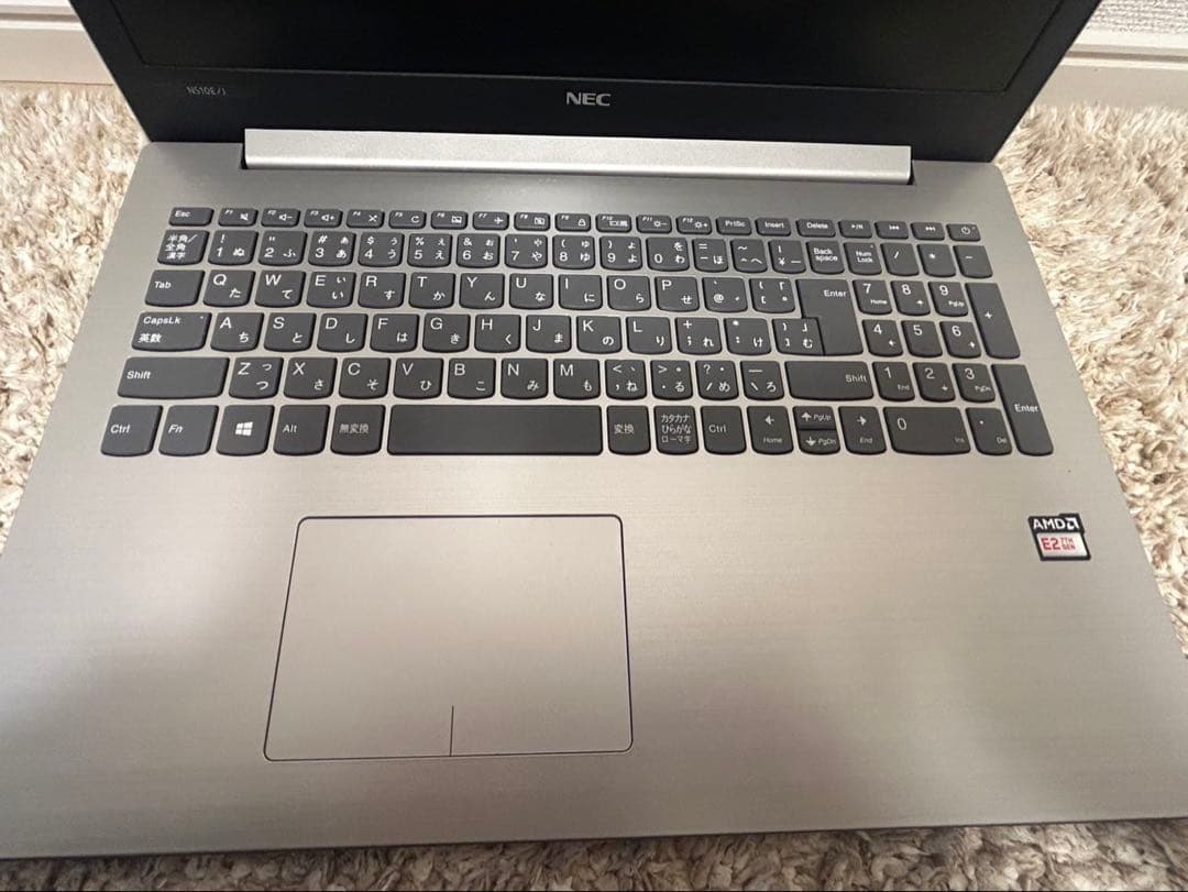 その他ノートPC本体 NEC PC-NS10EJ2S AMD
