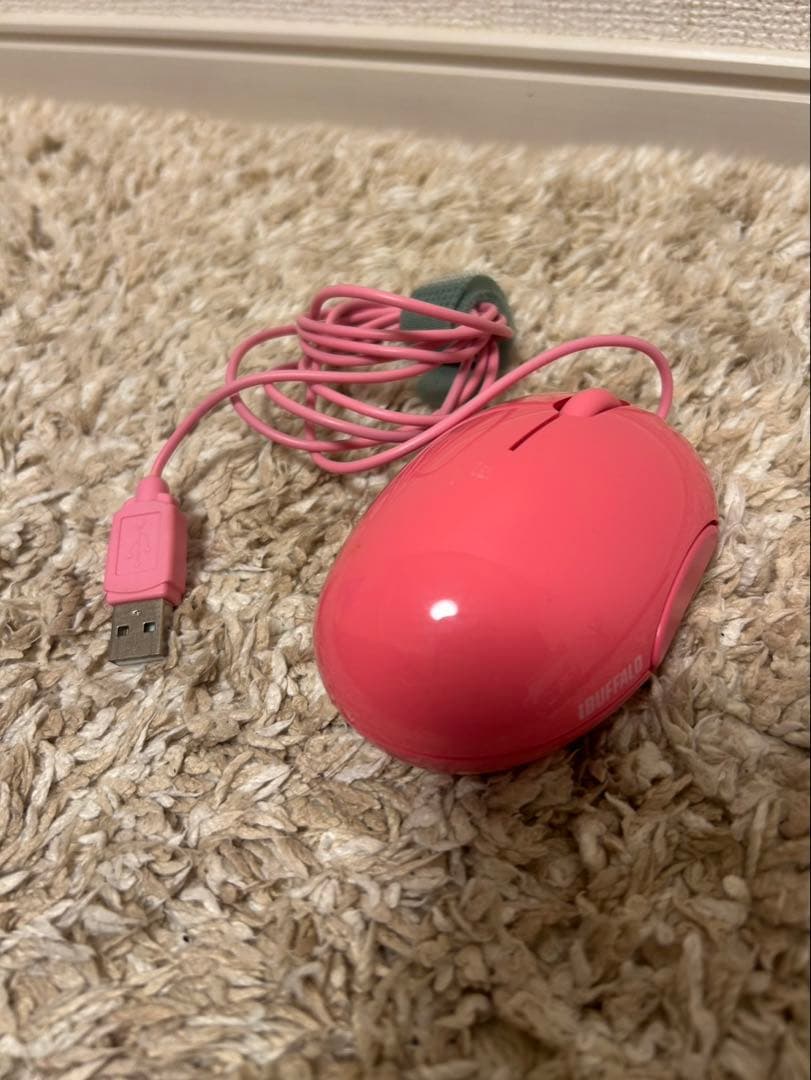 その他ノートPC本体 NEC PC-NS10EJ2S AMD