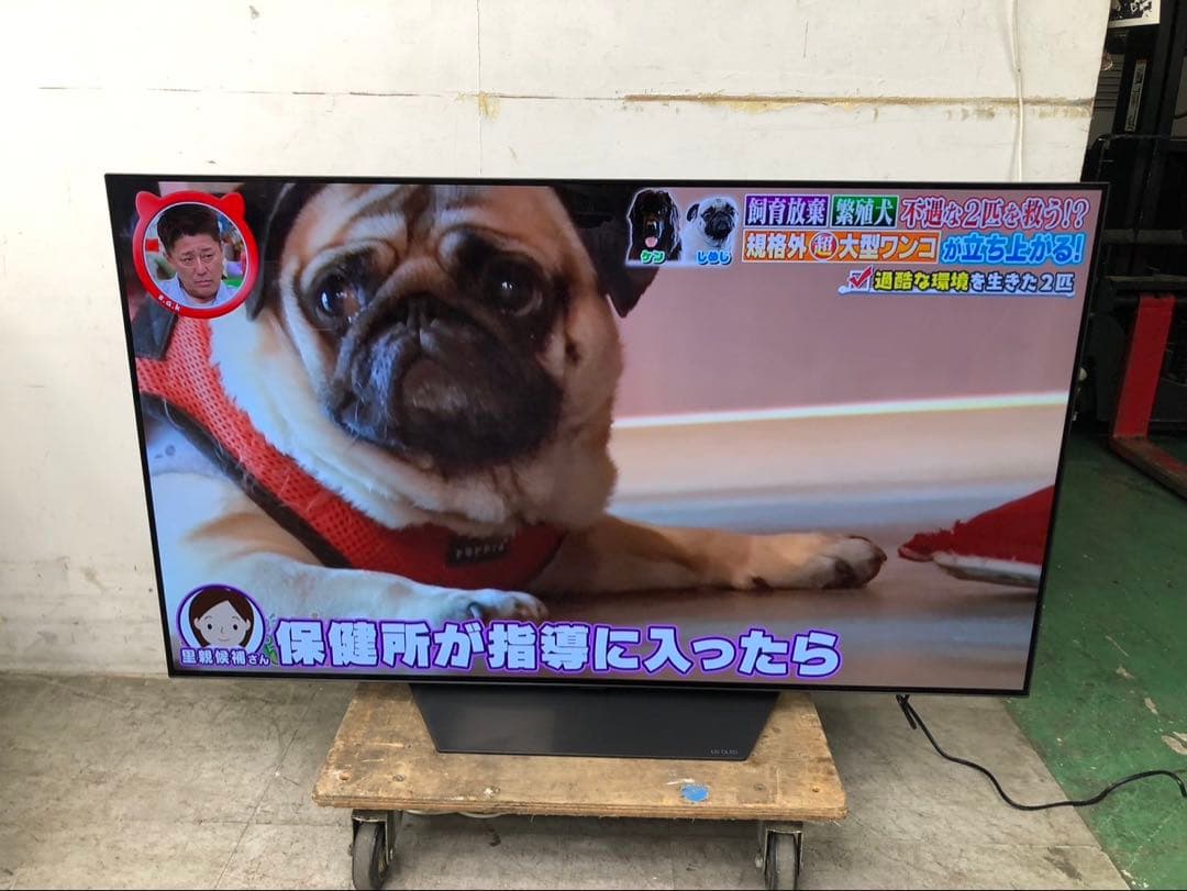 SI 極美品LG有機ELテレビOLED55B2PJAスマート機能搭載2024年
