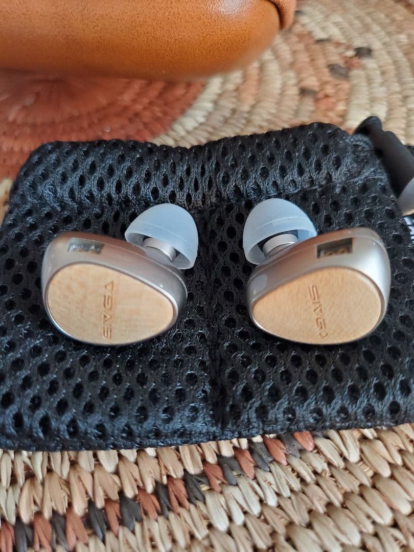 (ミサキさん専用)SIVGA QueとNICI 20のセット