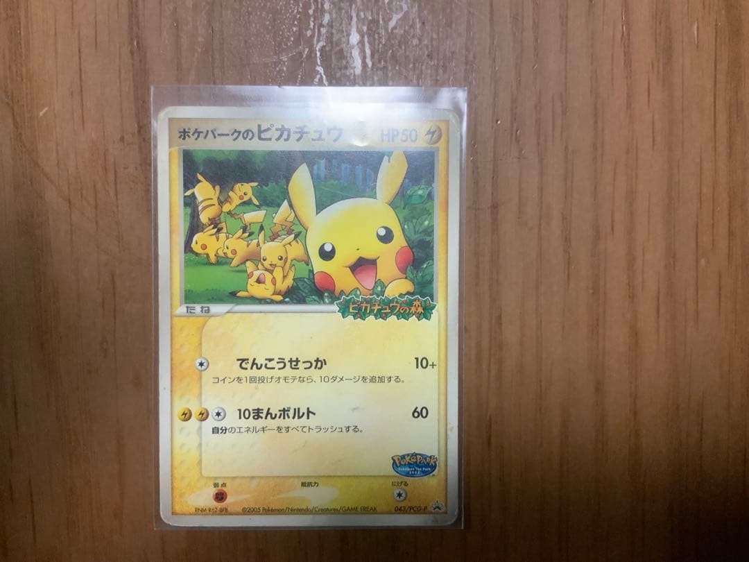 ポケパークのピカチュウ