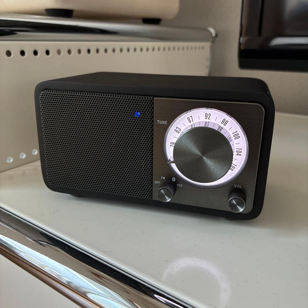 Sangean WR-301 美塗装