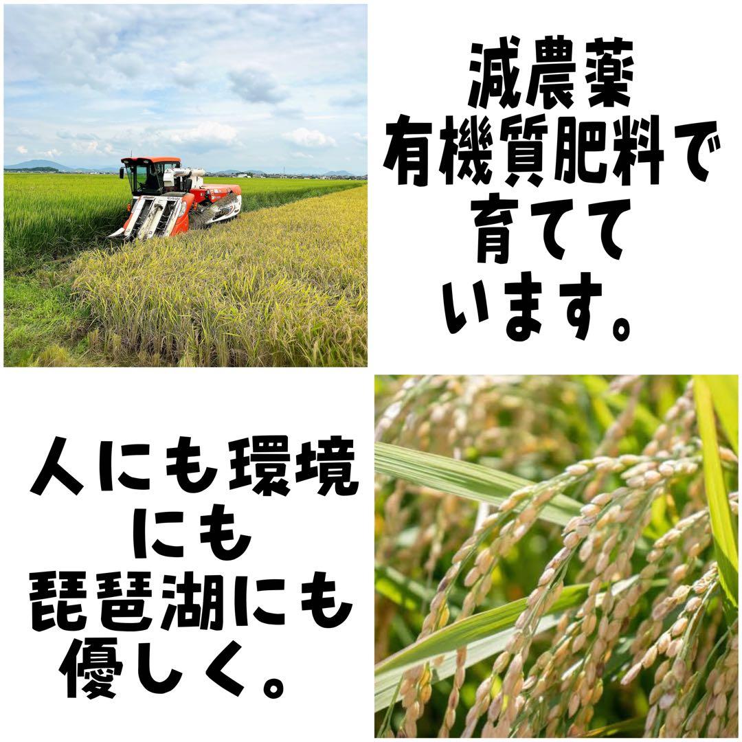 【令和7年度新米】近江米 ミルキークイーン5kg +コシヒカリ5kg
