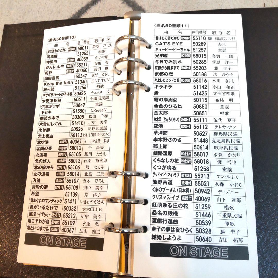 ON STAGE（オン・ステージ）マイク２本付き Z-PK120WT