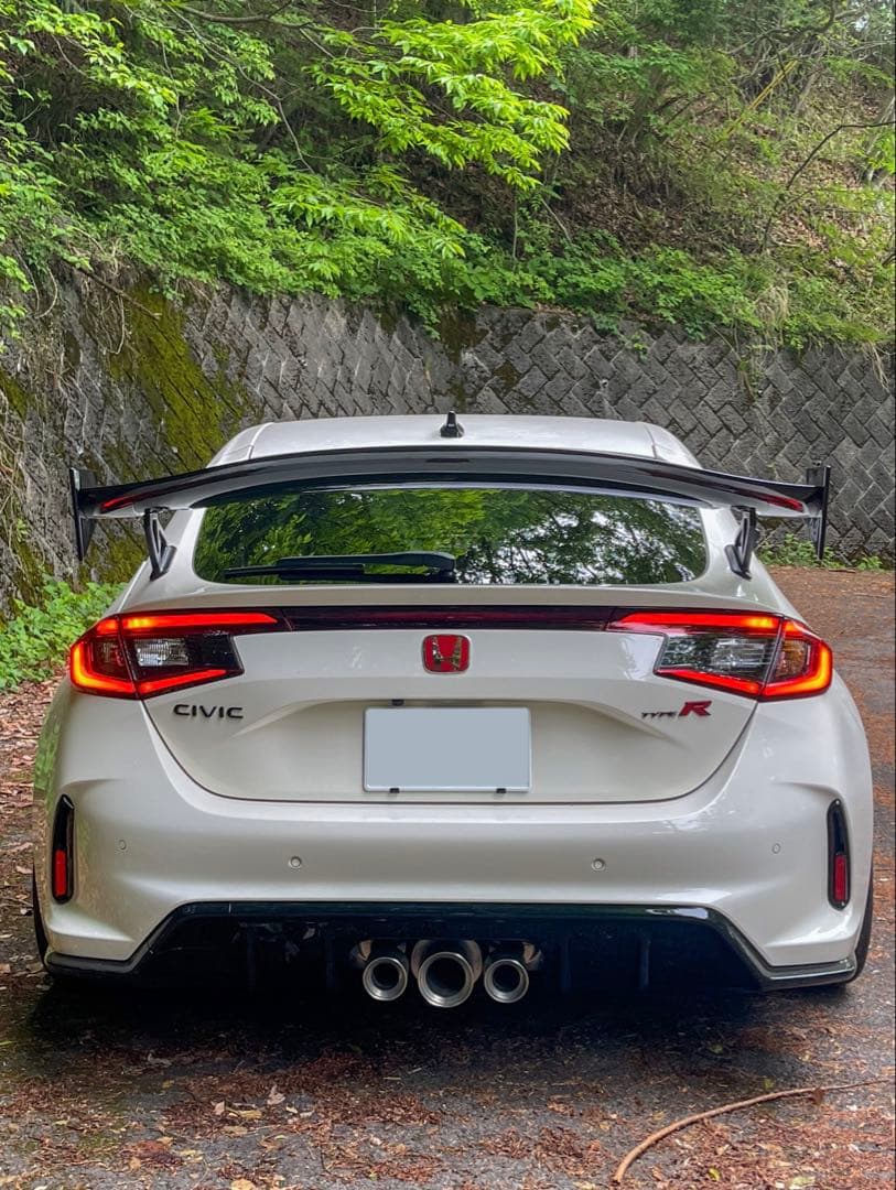 【ResultJapan カーボンGTウイング】シビックタイプR（fl5）用