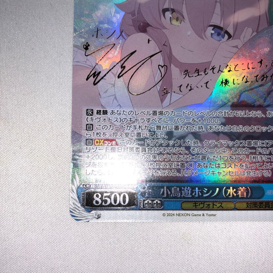 小鳥遊ホシノ 水着 sp ブルーアーカイブ ホシノ サイン