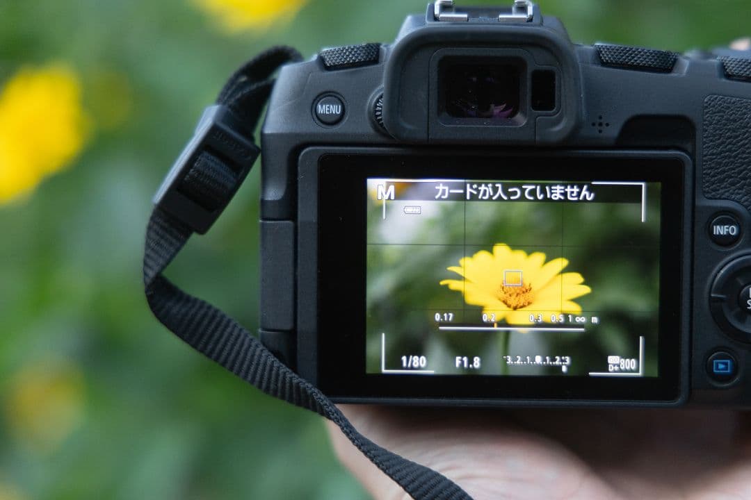 Canon EOS RP RF35mm F1.8 マクロ　STM レンズキット