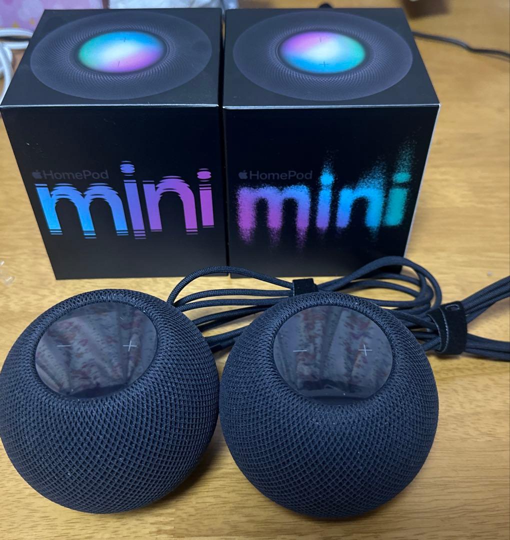 vesick Apple Pod mini 黒 2個セット