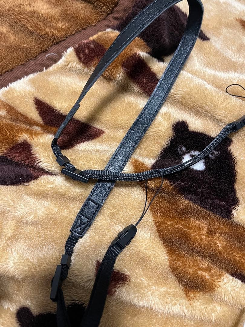 フィルムカメラ Fujifilm instax mini EVO