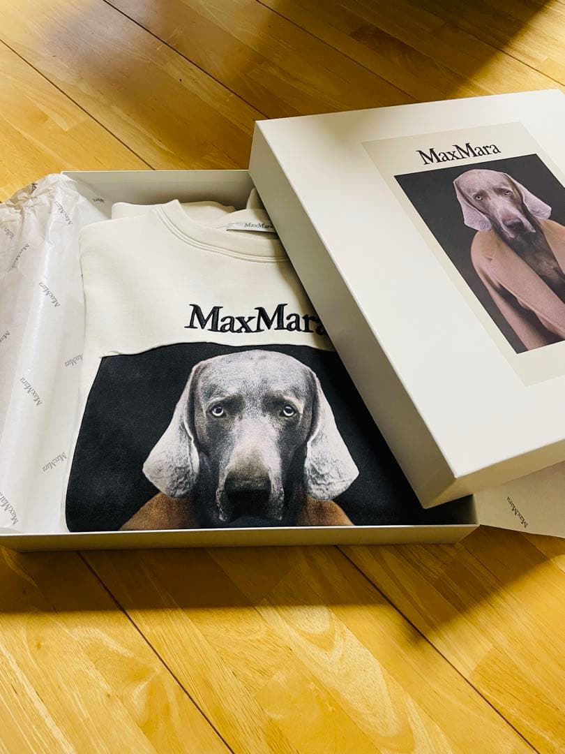 MAX MARA マックスマーラ バッコ コットン ジャージー スウェットXS