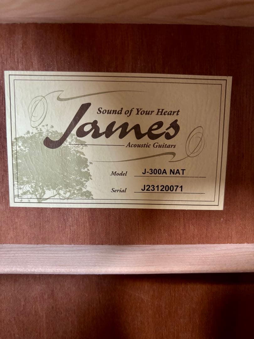 James J-300A NAT アコースティックギター 6弦【美品】