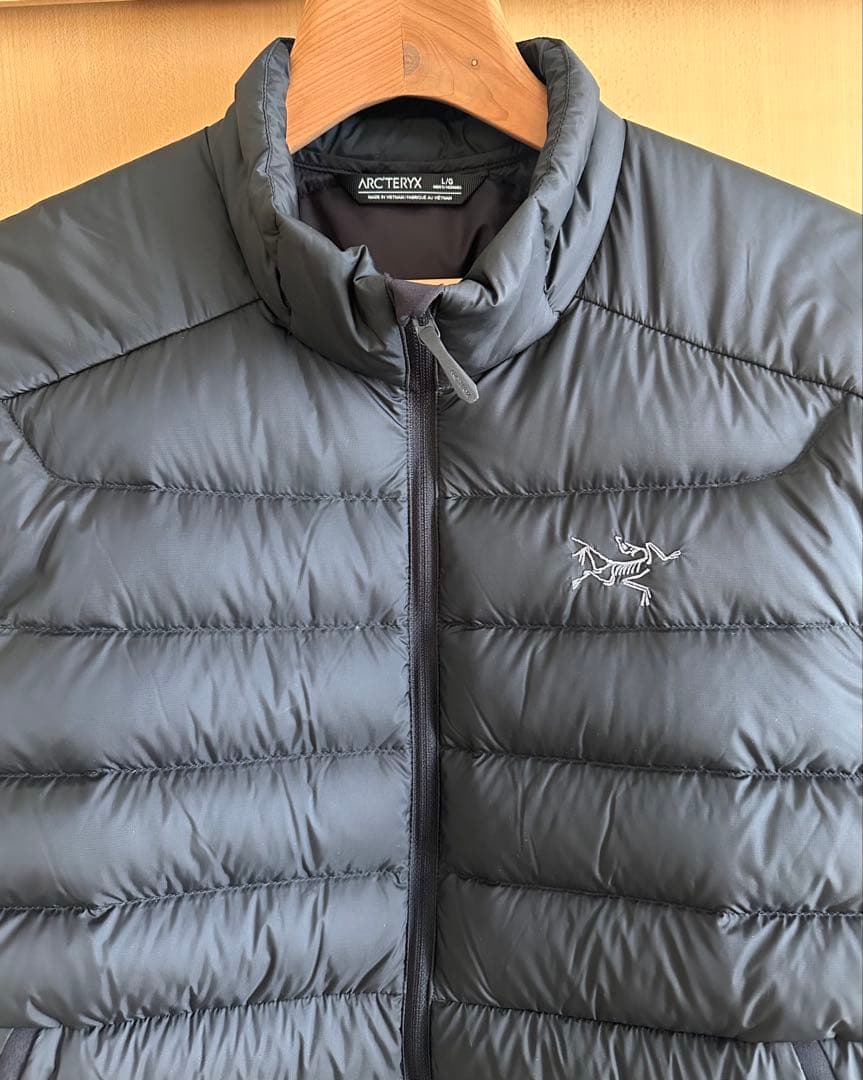 【極美品】ARC'TERYX \"Cerium Vest\" Lサイズ Black