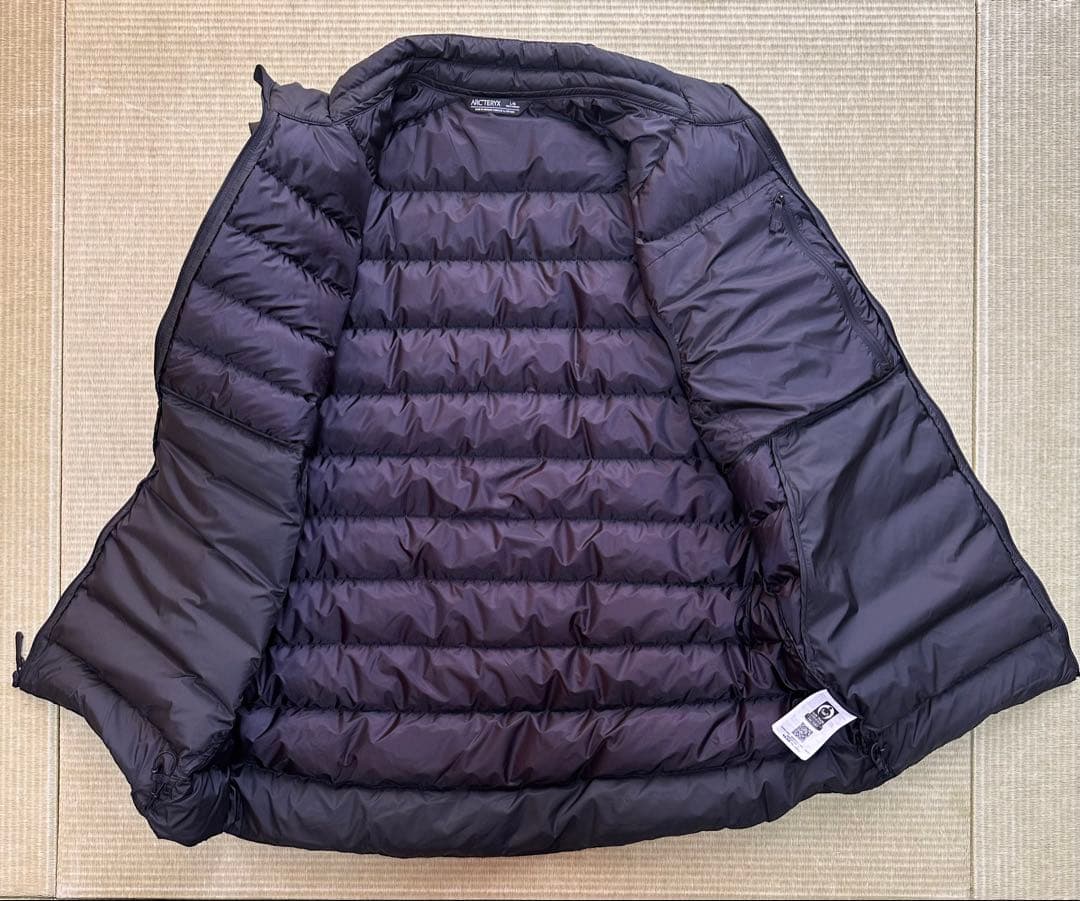 【極美品】ARC'TERYX \"Cerium Vest\" Lサイズ Black