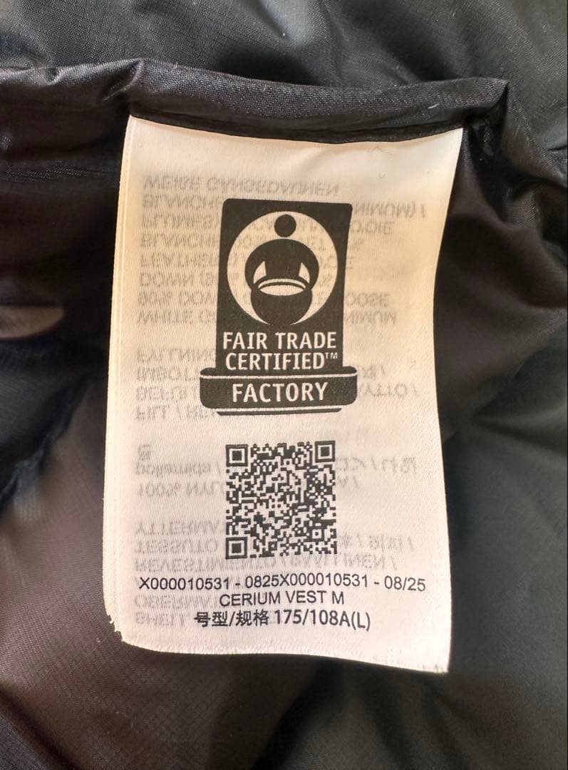 【極美品】ARC'TERYX \"Cerium Vest\" Lサイズ Black