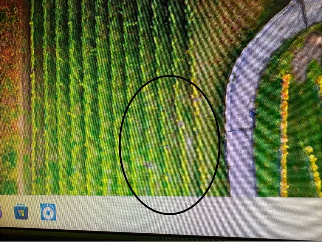 HP 2310e モニター 本体