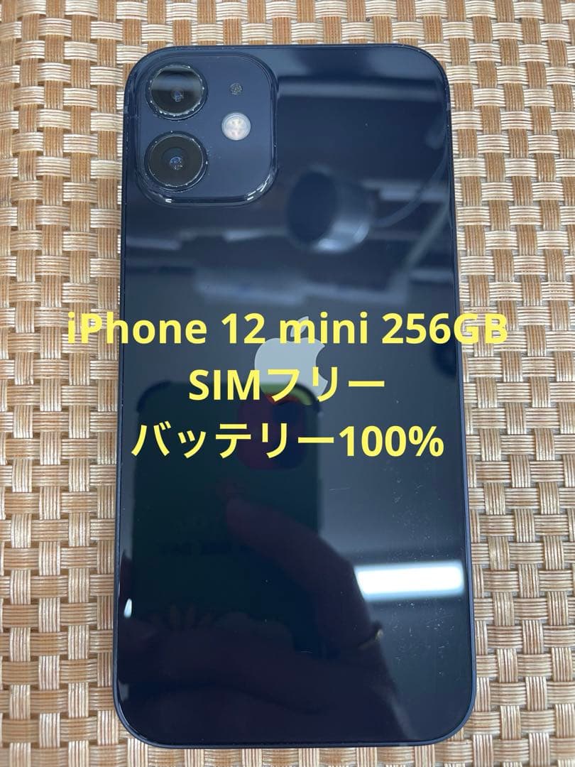 iPhone 12 mini 256 GBブラックSIMフリー【3059】
