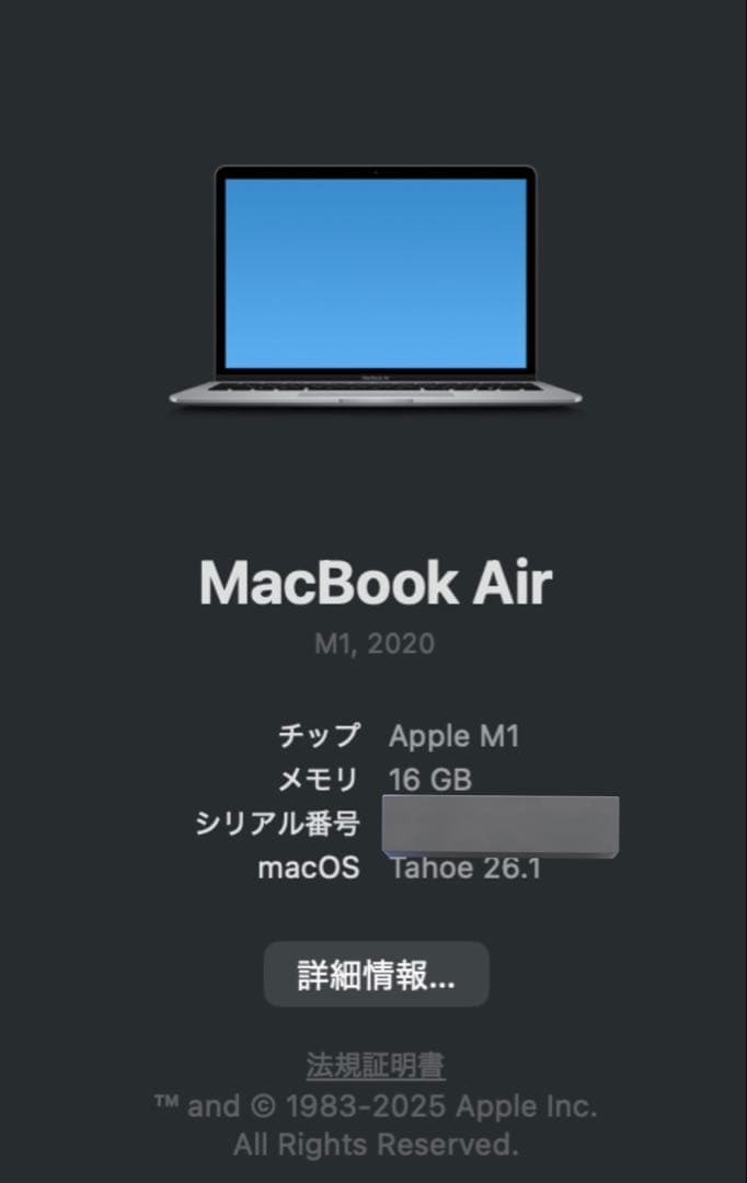 美品　Macbook Air 2020 M1/16GB/256GB