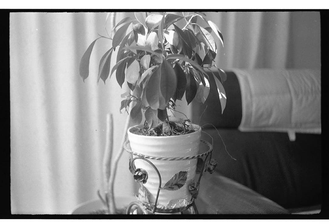 【作例有り】Leotax K + Fujinon 50mm f2.8