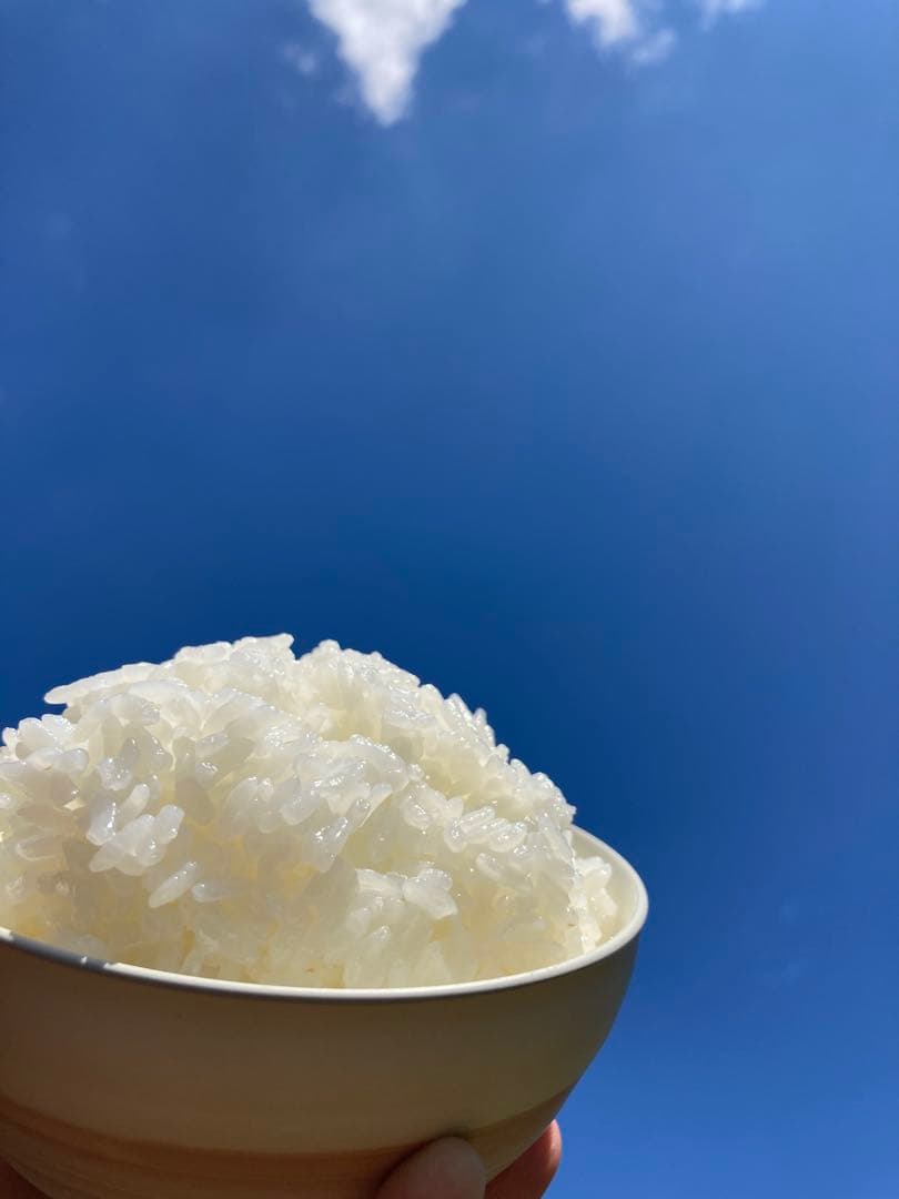 こだわりのお米　つきあかり　令和7年度産　精米10キロ　生産者直送