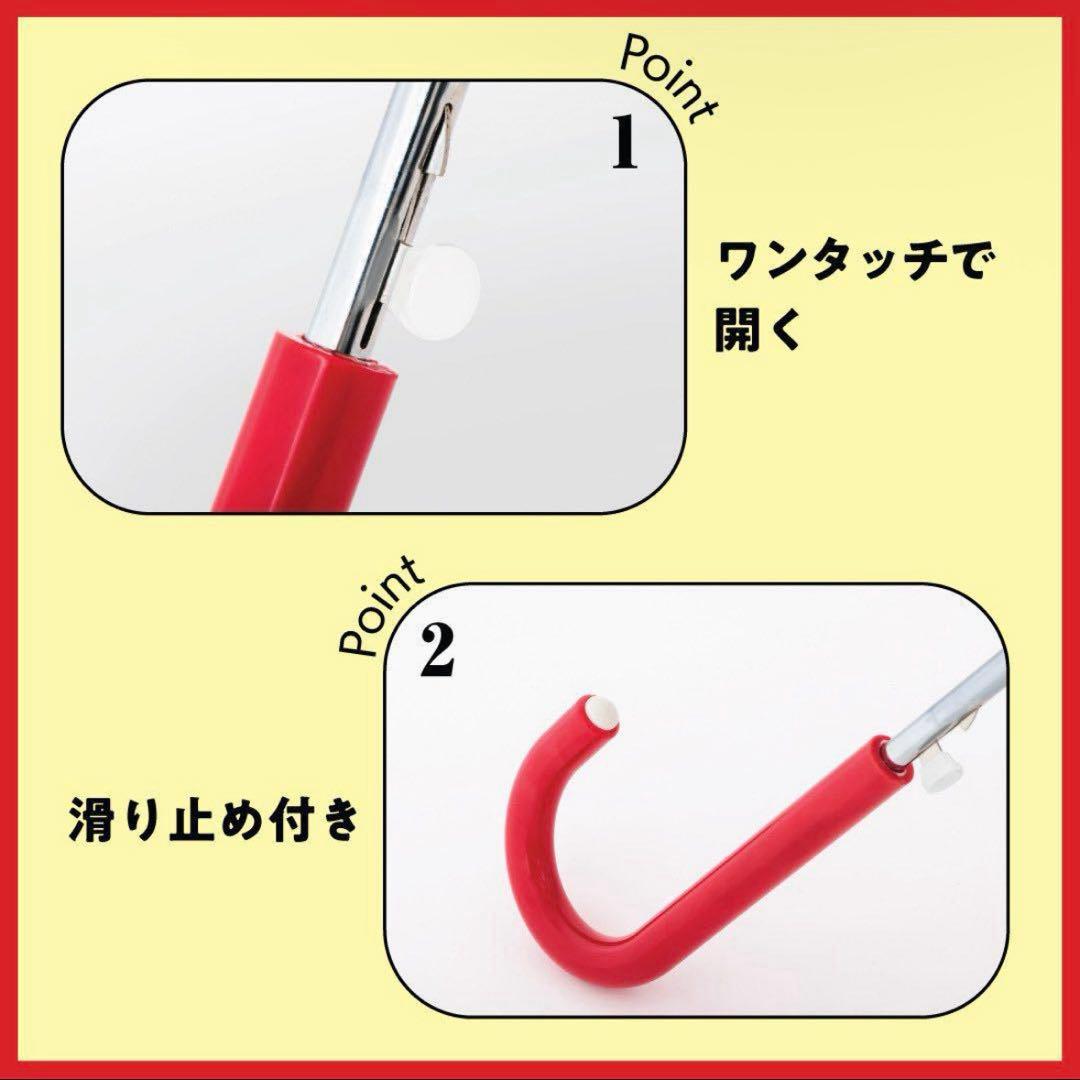 HYSTERIC MINI UMBRELLA BOOK 60cm 2本