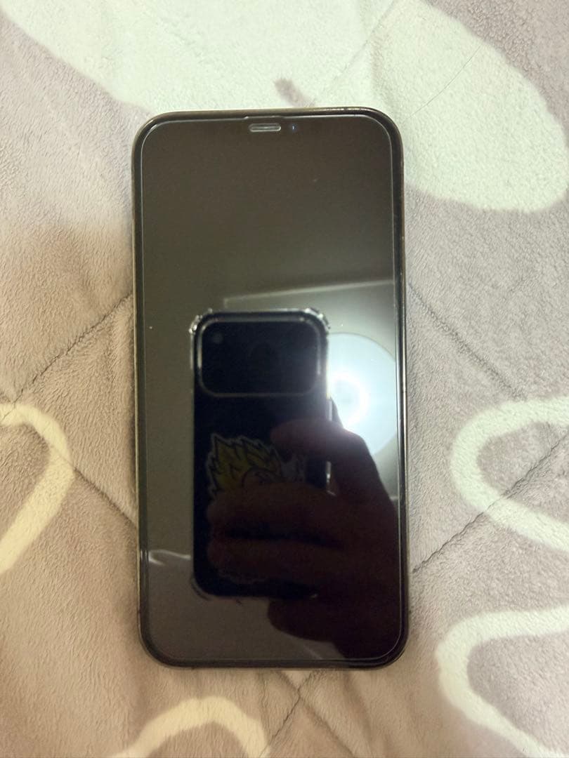 iPhone 12 Pro 256GB グラファイト　SIMフリー