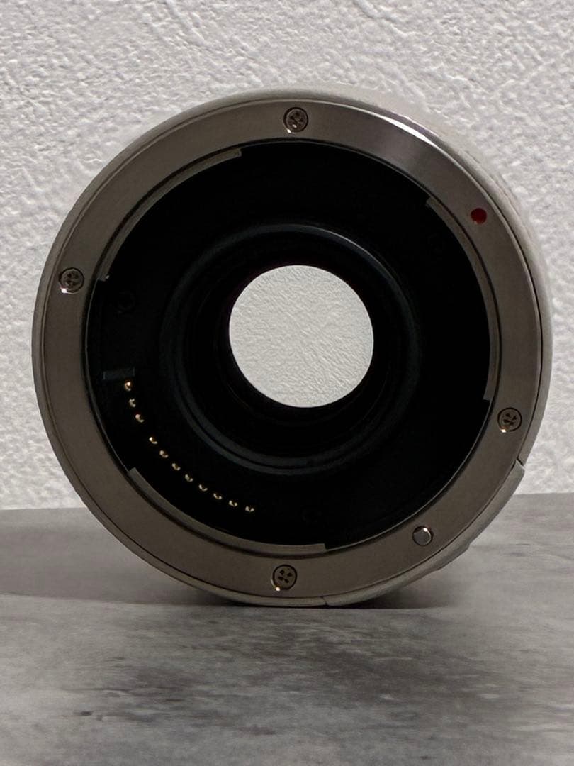 ⭐️美品⭐️ キャノン CANON EXTENDER EF 2x エクステンダー