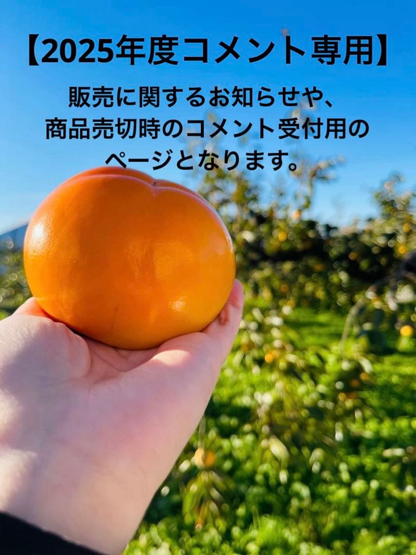 【コメント専用ページ】会津　御山産　みしらず柿　訳あり