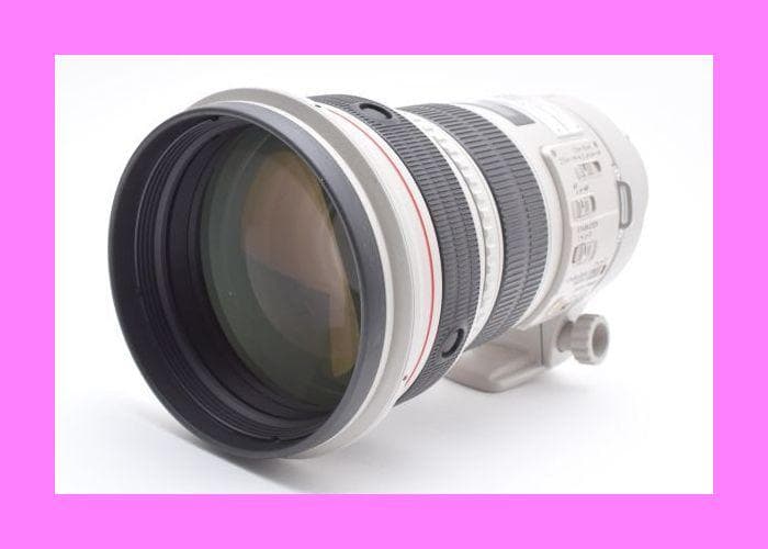 ●高級白レンズ 手ブレ　Canon EF 300mm F2.8 L IS USM