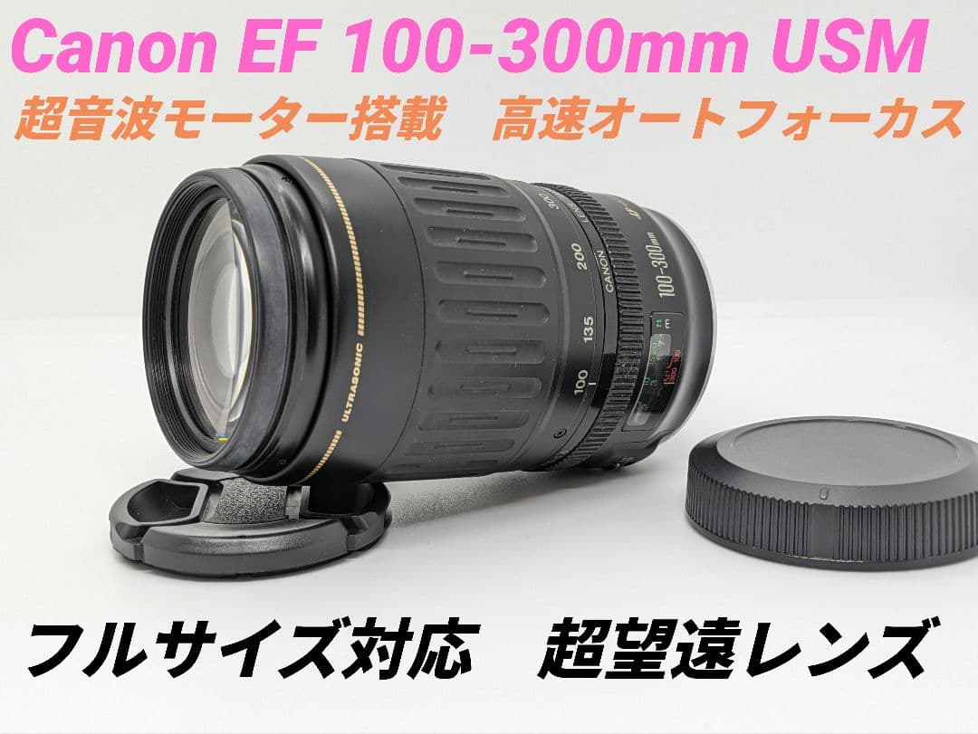 11月22日限定価格【超望遠レンズ】Canon EF 100-300mm USM