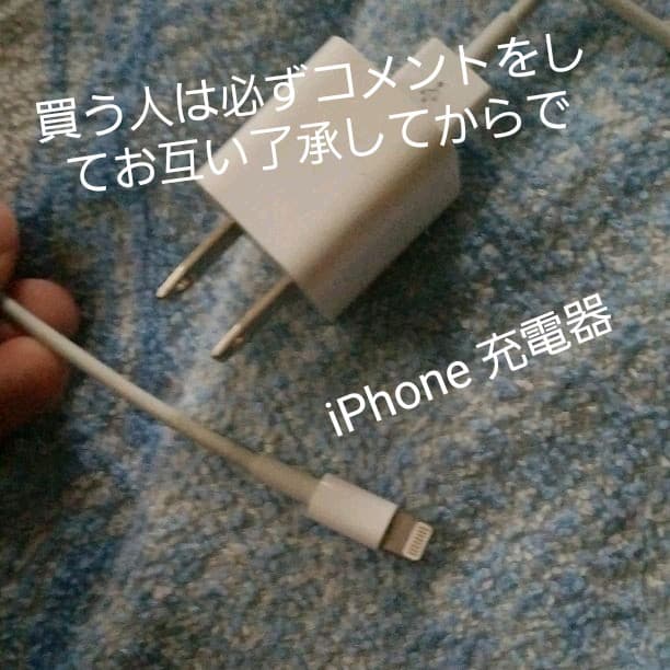iPhone 充電器 不具合無し