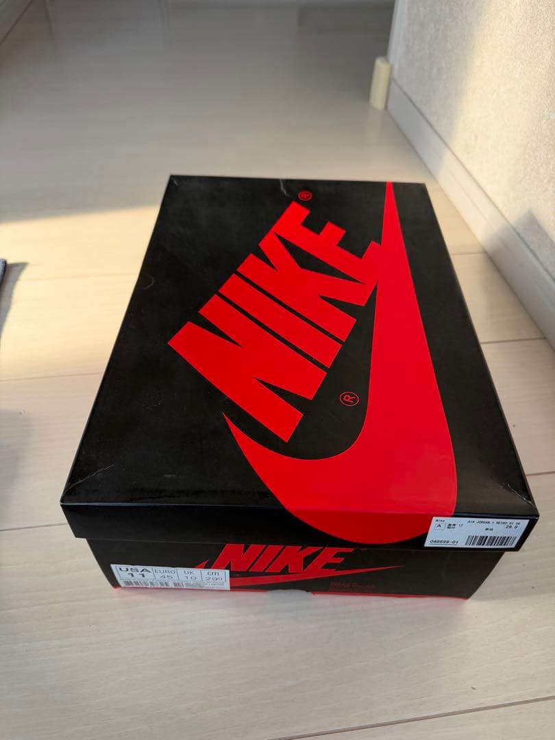 Nike Air Jordan 1 High （2016）11 29㎝