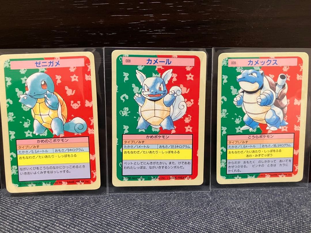 トップサン　ゼニガメ・カメール・カメックス