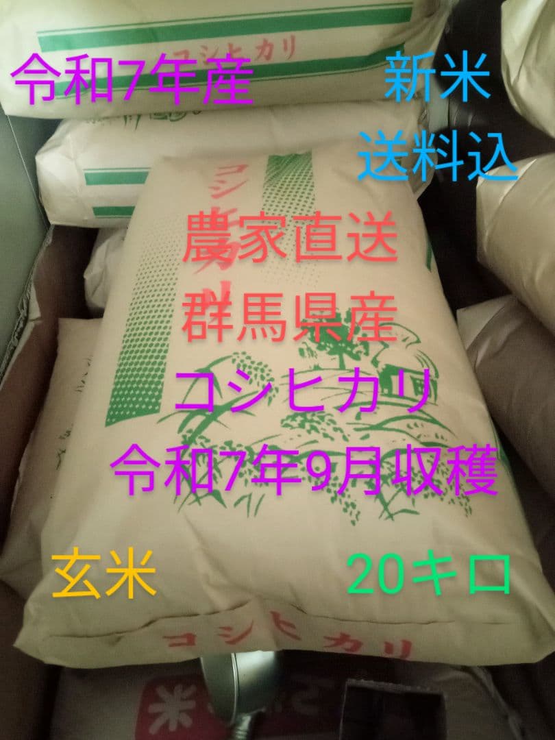 R7年産 新米 群馬県産 コシヒカリ 20キロ 玄米 送料込 ①