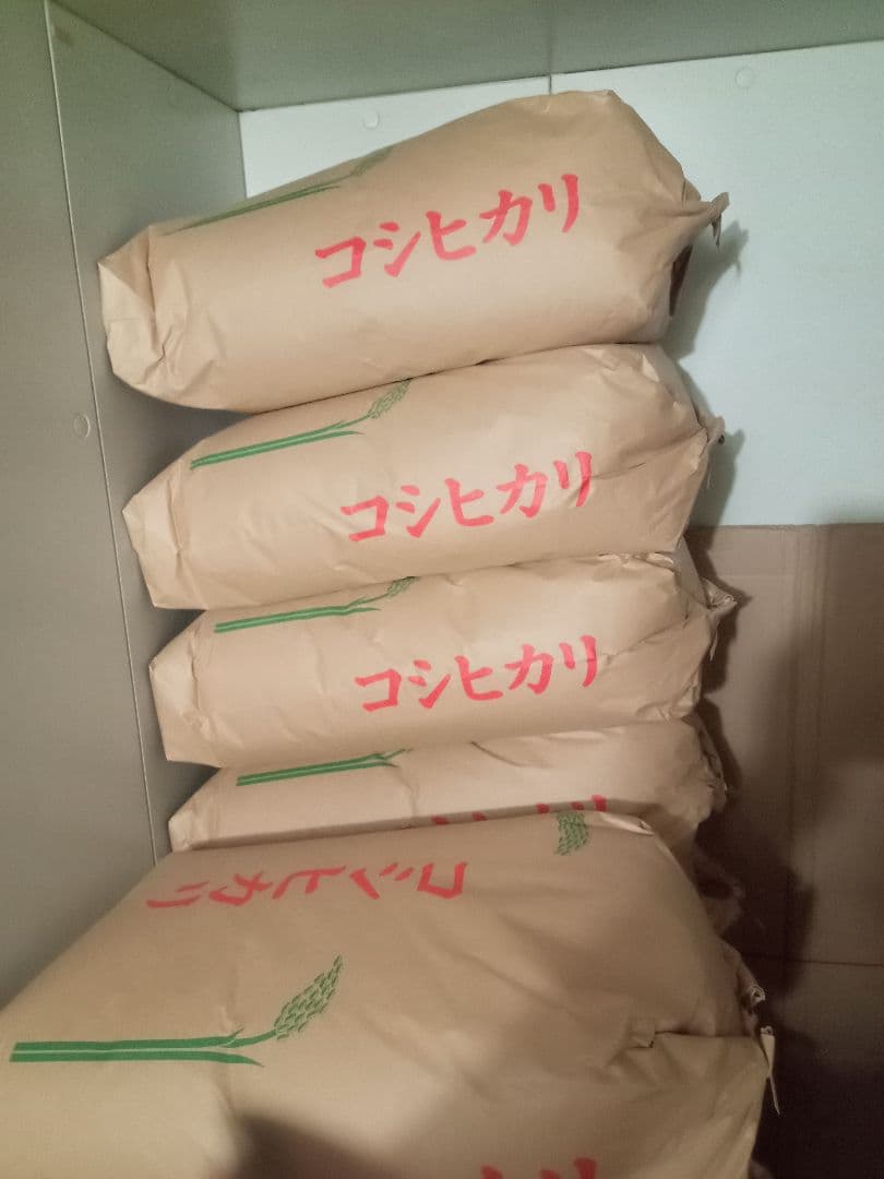 R7年産 新米 群馬県産 コシヒカリ 20キロ 玄米 送料込 ①