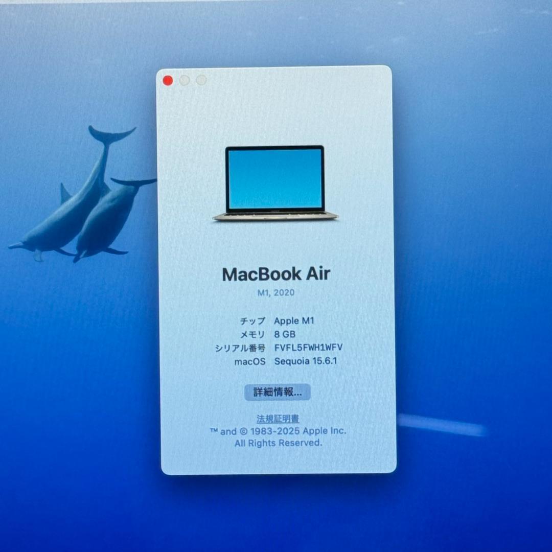 P66 超美品 100%-31 MacBook Air M1 13inch