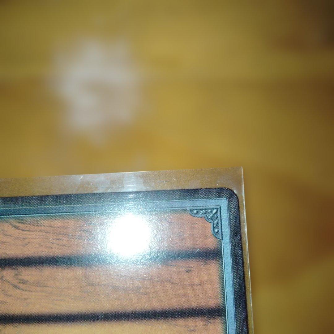 【希少】ワンピース カードダス プロモ　NJ-01 旅の相棒