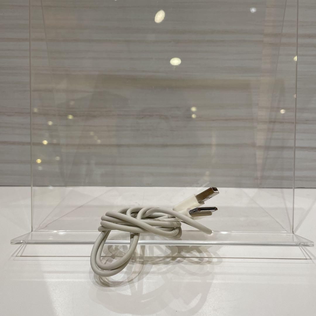 IPod アップル16GB  イヤホン付き