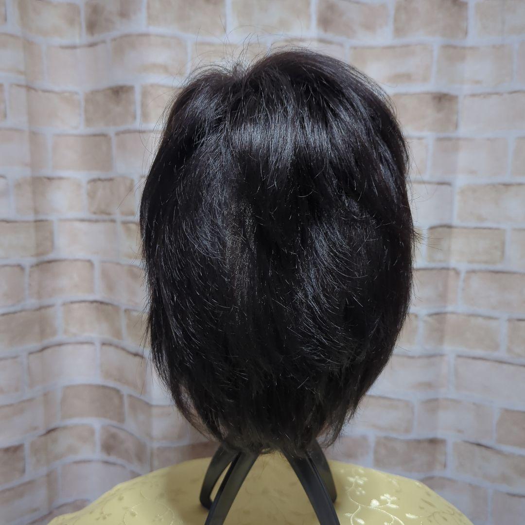 オールウィグ　シャポード