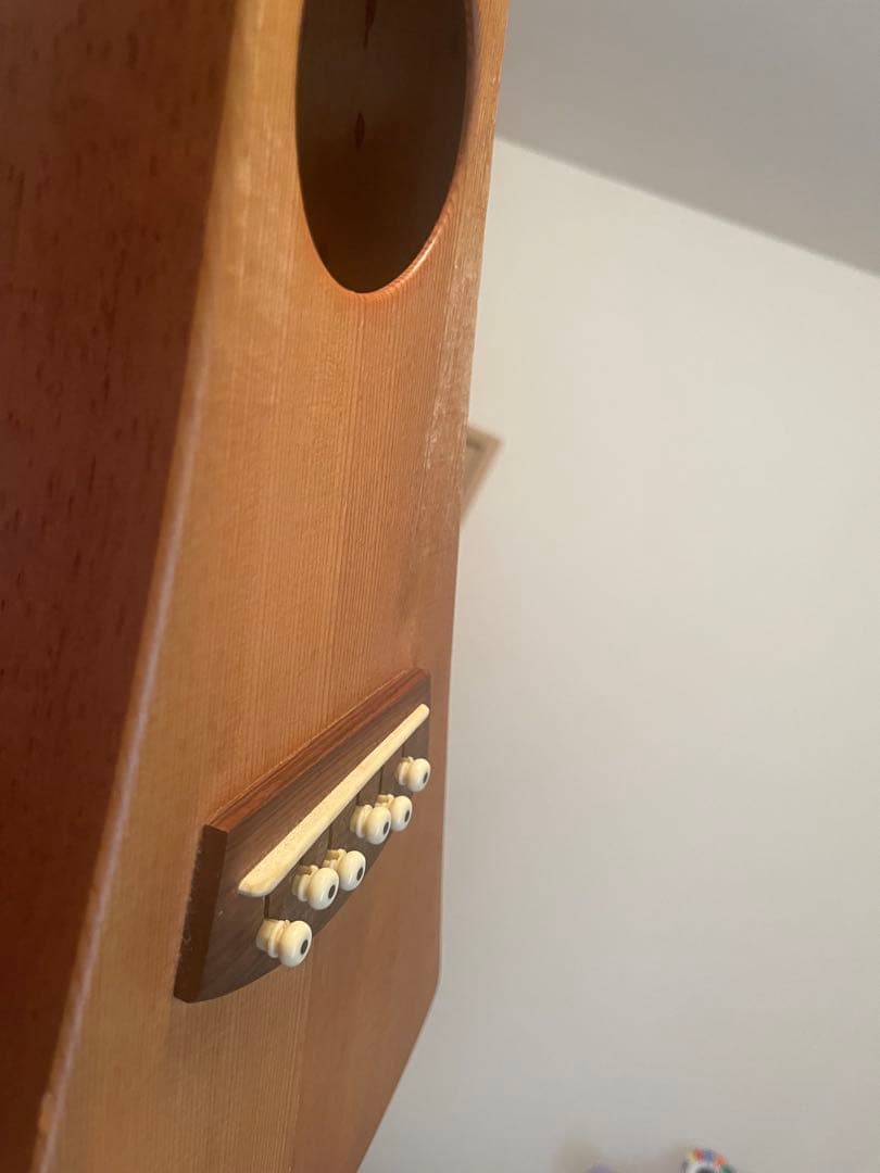 ギター Martin & Co. Backpacker Guitar