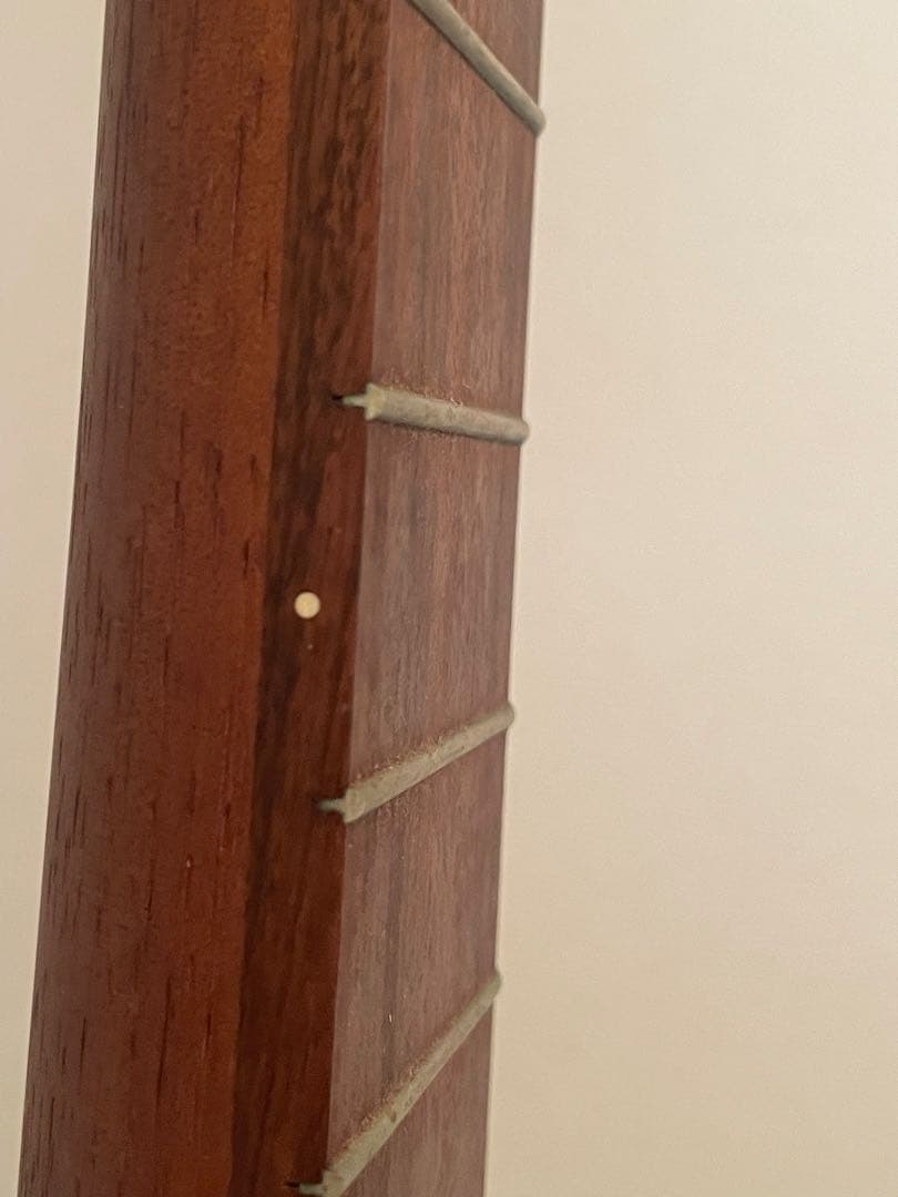 ギター Martin & Co. Backpacker Guitar