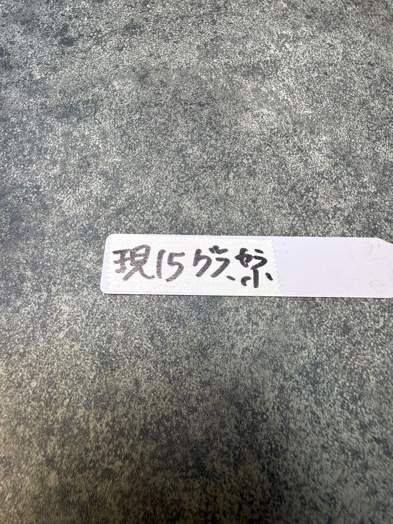 パキポディウム　グラキリス　現地球　発根済み　現15