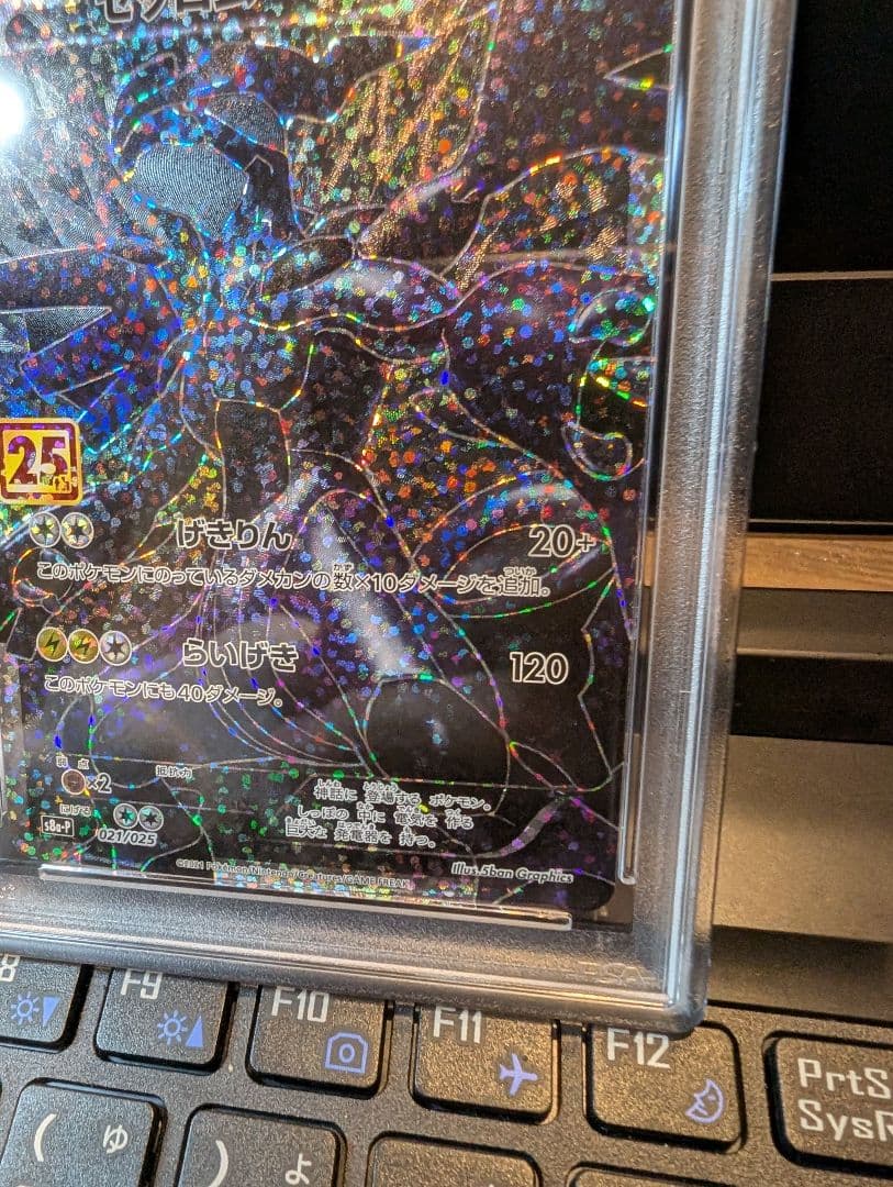 PSA10 ゼクロム 25th プロモ アニバーサリーコレクション