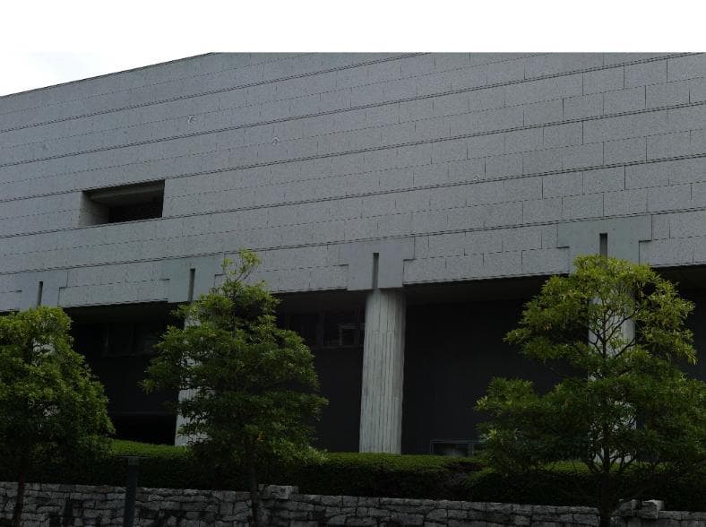 オリジナルセンサーID5　ライカ Leica M9 ブラックペイント LEICA