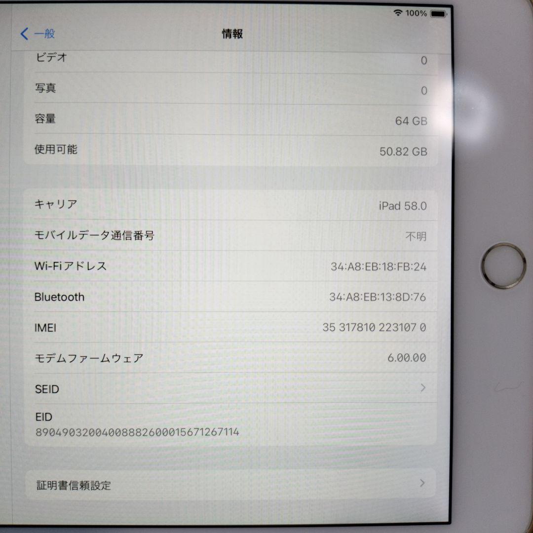 iPad mini 第5世代 シルバー クリアケース付き