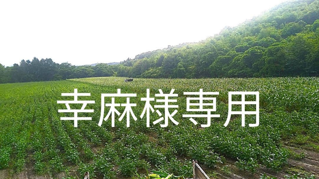 農家直送【新豆】令和7年産 北海道壮瞥町産大豆24㎏