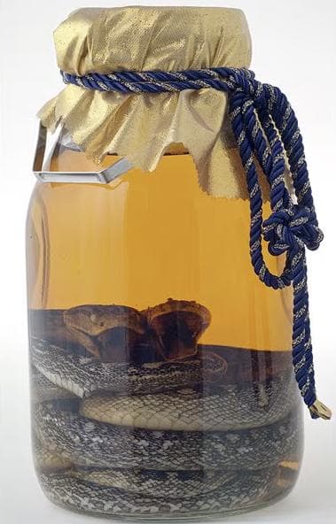 南都酒造所 リキュール 琉球の酒 夫婦ハブ入りハブ酒　35度　1400ml