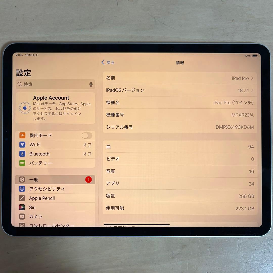 iPad Pro 11インチ 第一世代　256GB シルバー　Wi-Fi