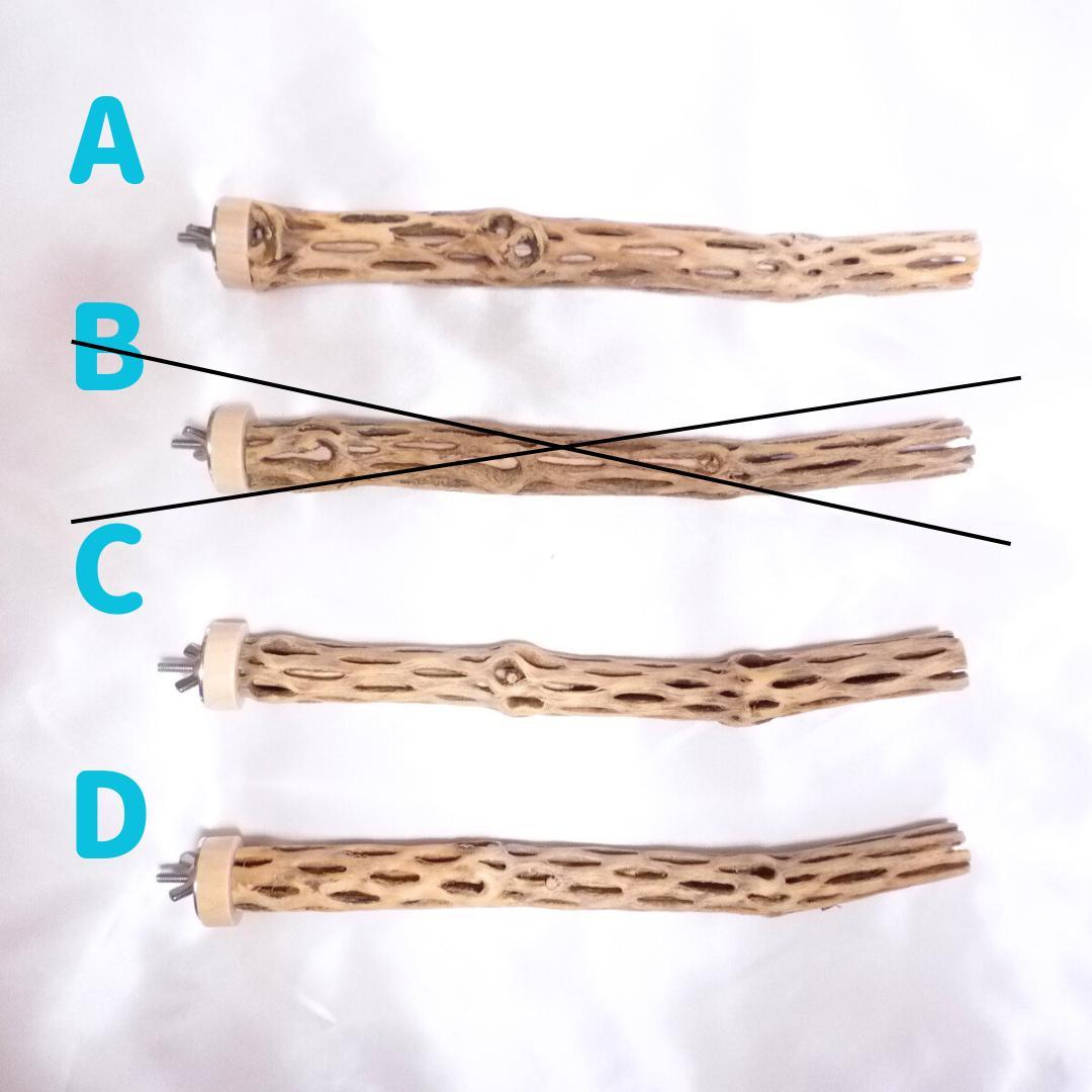 m　止まり木　カクタス　スケルトン　パーチおまとめ3本