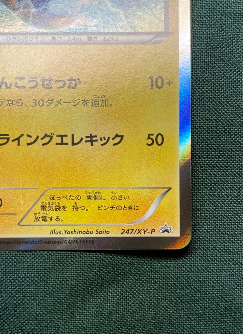 マクスド・ピカチュウ　xy-p