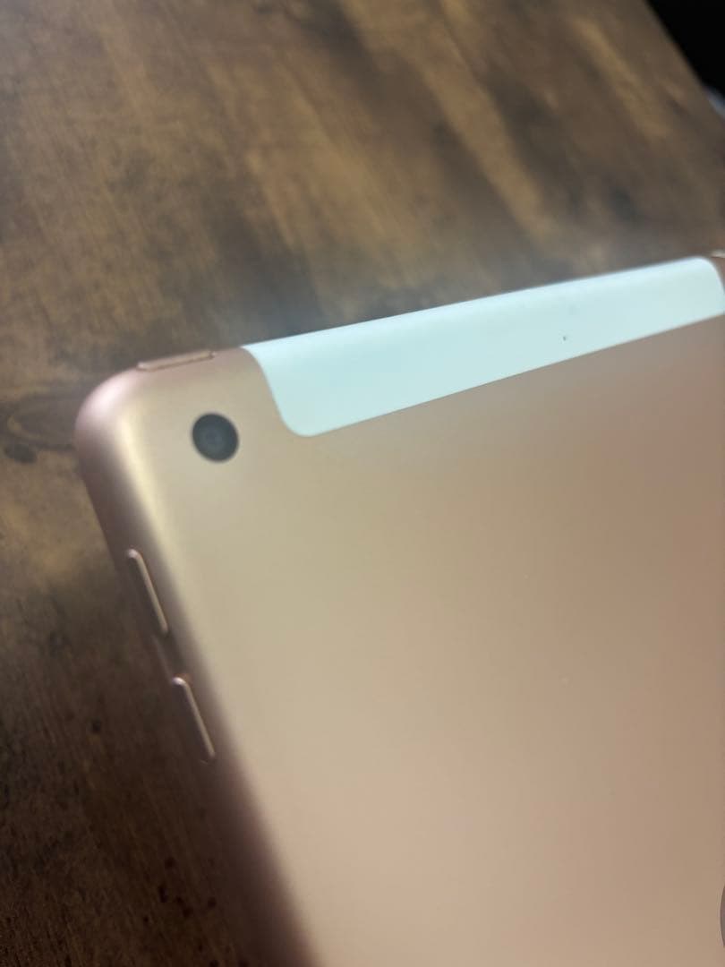 Apple iPad 本体　ゴールド　第６世代